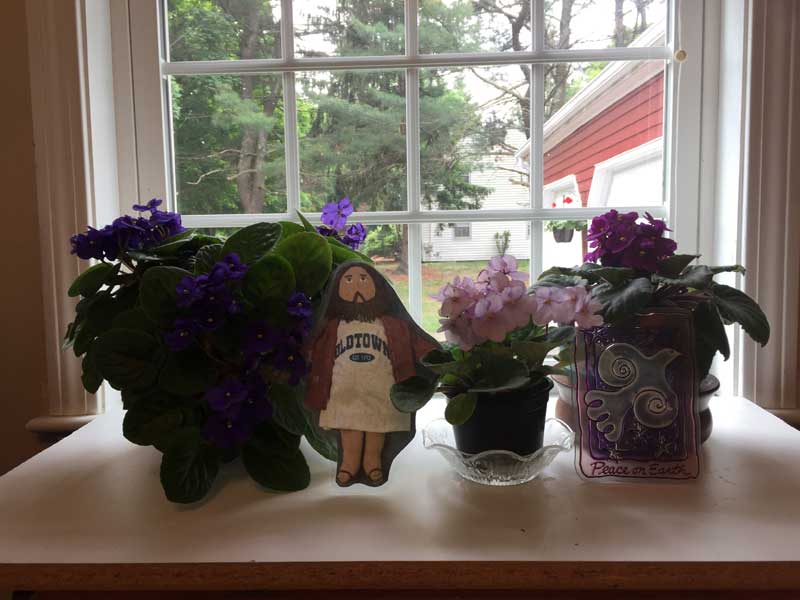 Flat Jesus Among the Violets