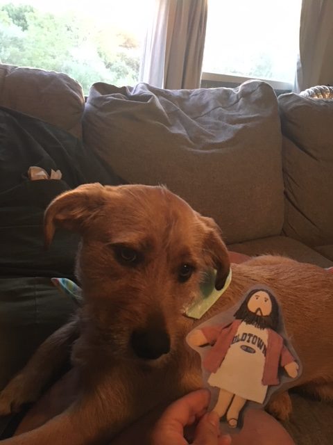 Flat Jesus and the Birthday Puppy