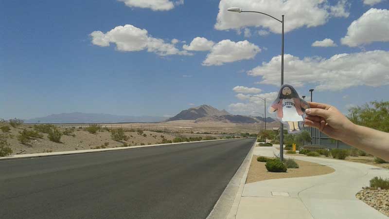 Flat Jesus Loves the Nevada Desert