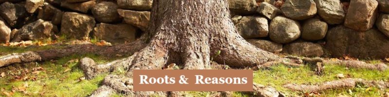 Roots and Reasons